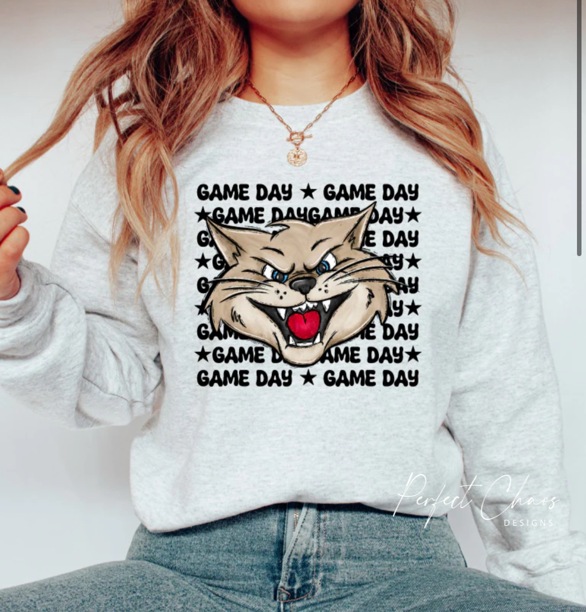 Game Day Wildcats