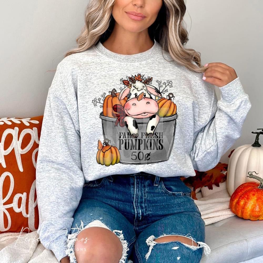 Farm Fresh Pumpkins - Cow