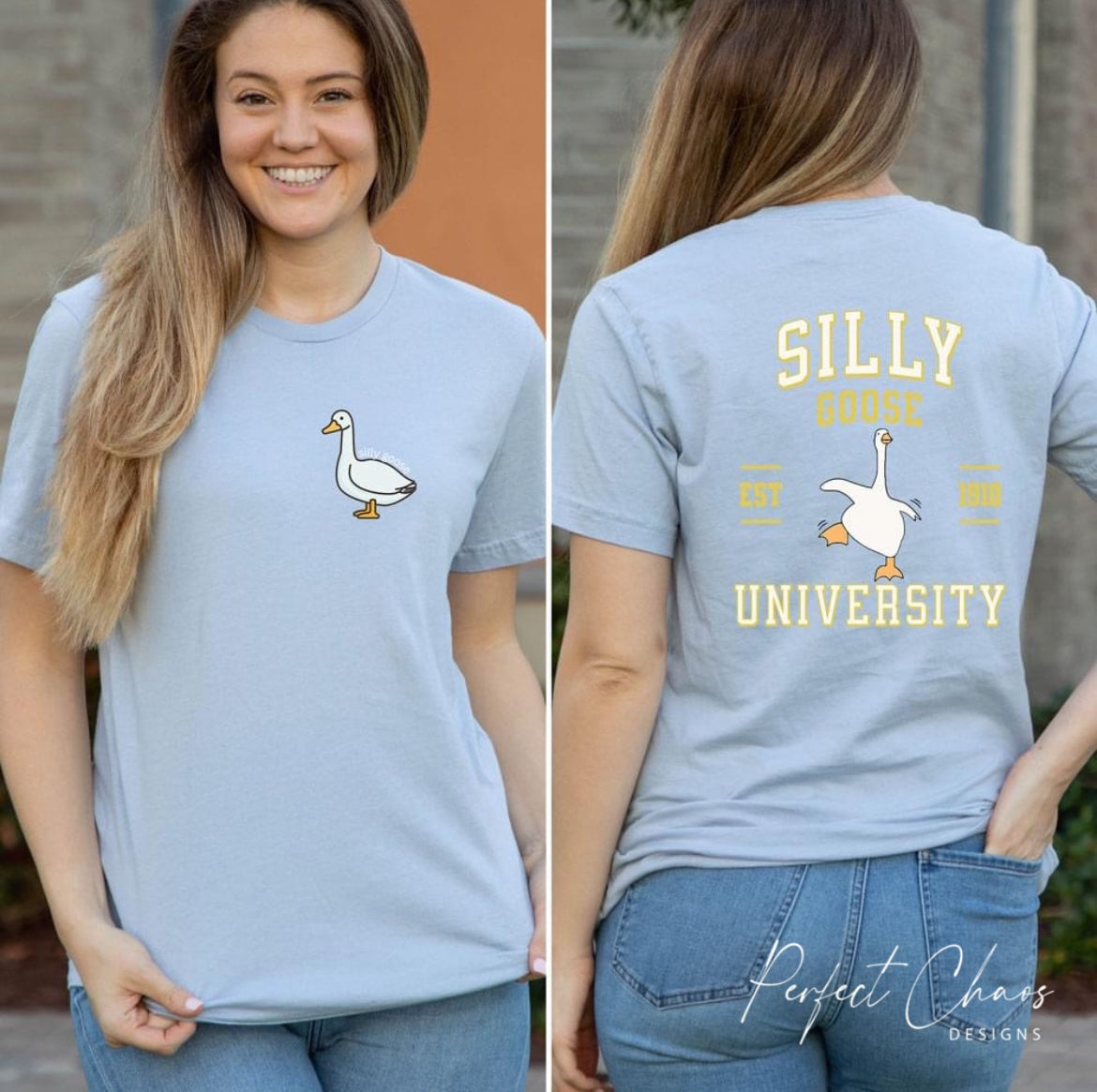 Silly Goose University
