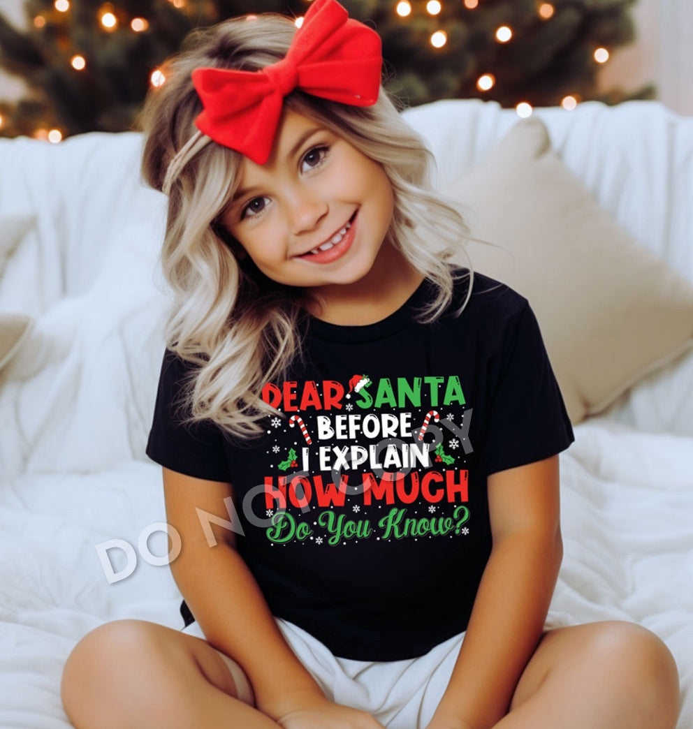 Dear Santa