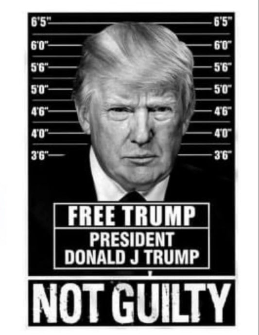 Not Guilty