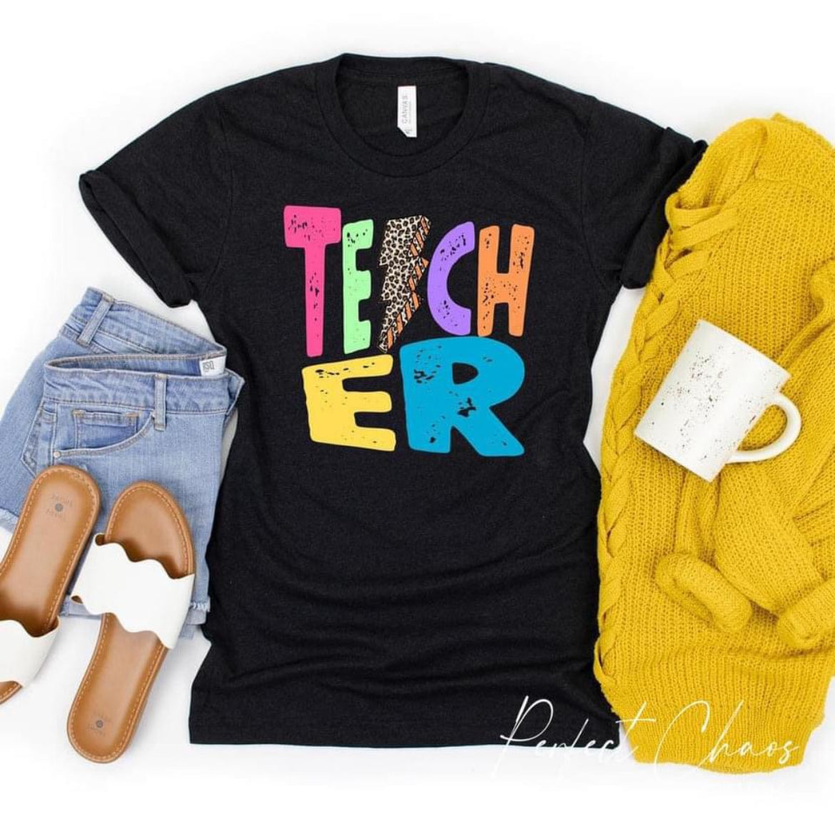 Teacher