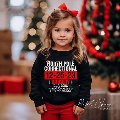 North Pole correctional Bribery - Left milk and cookies out for Santa