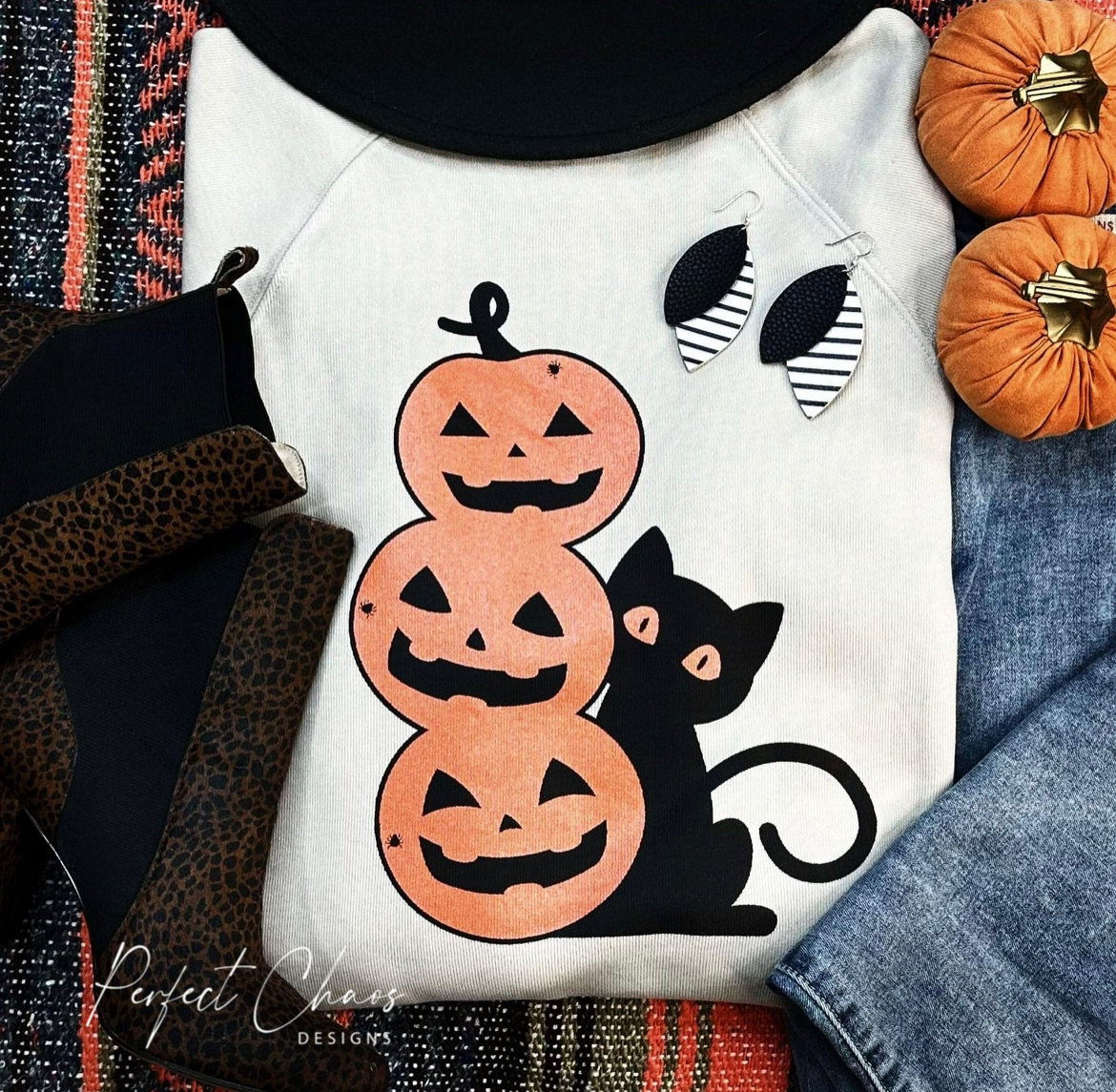 Black Cat & Pumpkins