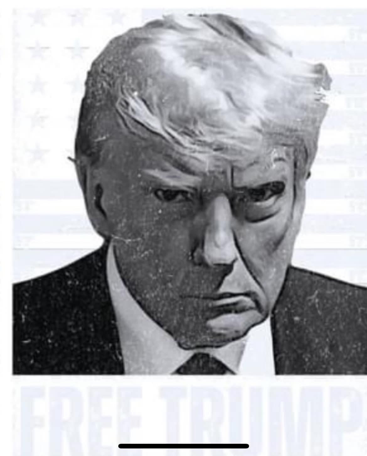 Free Trump