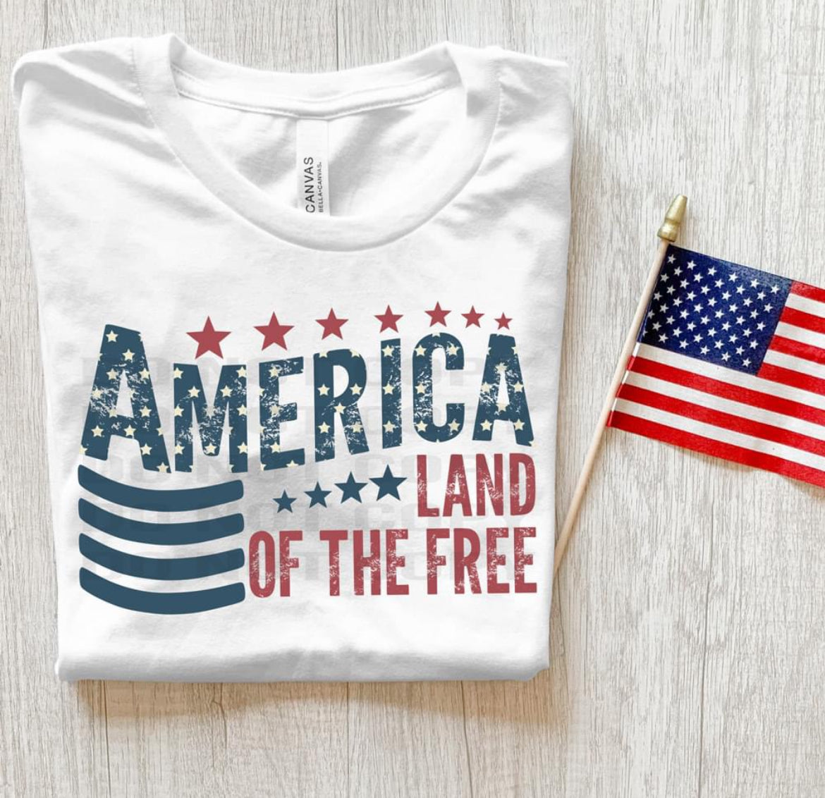 America Land of the Free