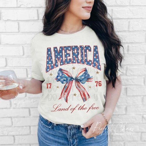 American land of the free