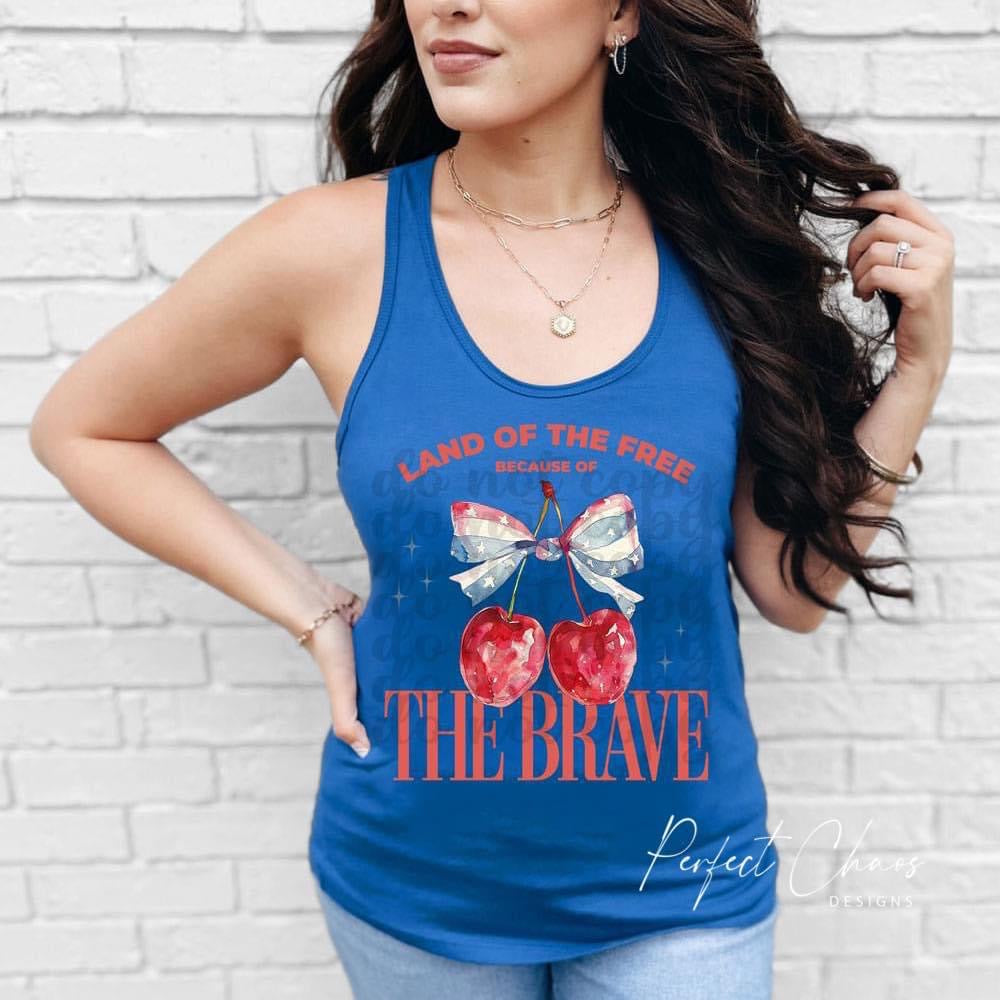 Land of the free because of the brave