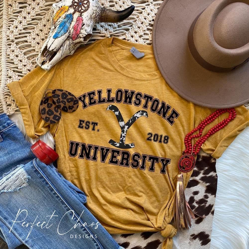 Yellowstone University