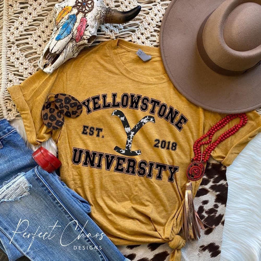 Yellowstone University