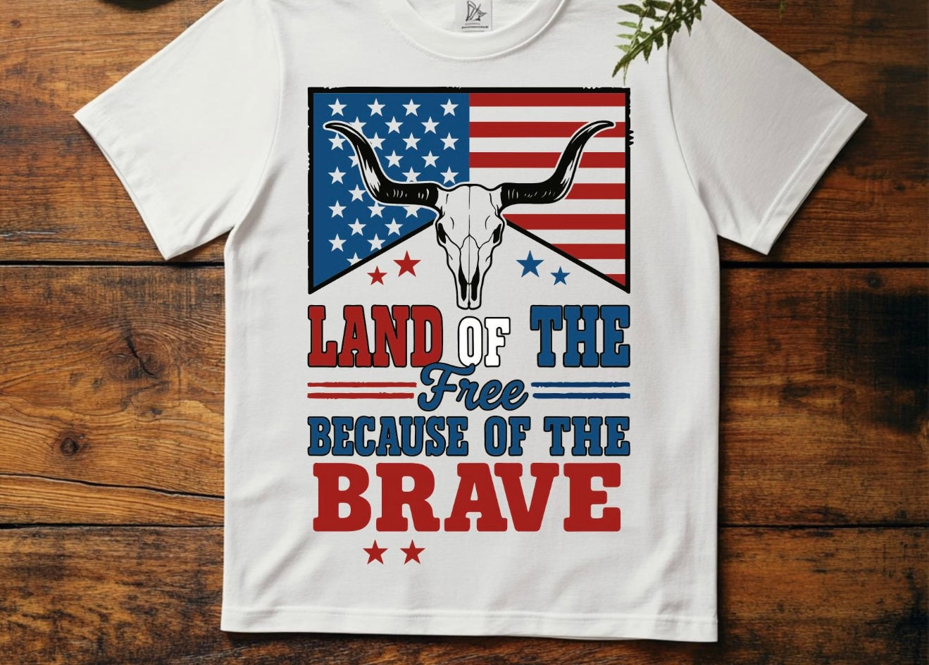 Land of the Free because of the Brave