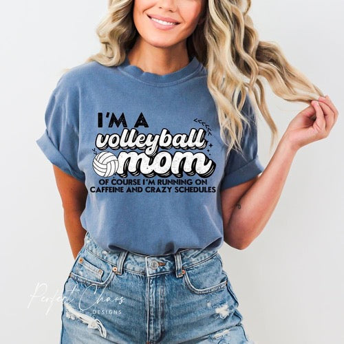 I'm a volleyball mom